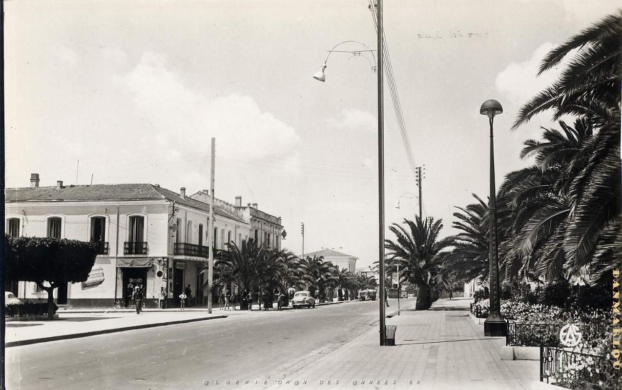 Lourmel 506- Avenue principale COLLECTION DES AMIS DE ND DE SANTA CRUZ.jpg